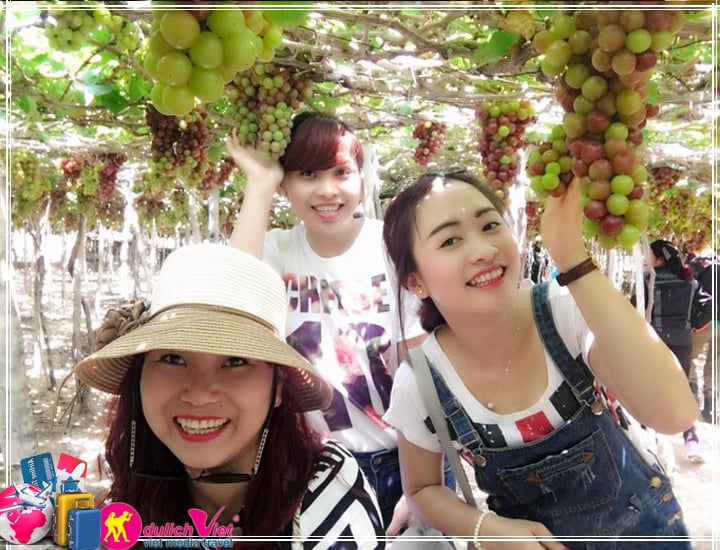 Du lịch Miền Trung - Đảo Bình Hưng - Ninh Chữ - Làng gốm Bàu Trúc giá tốt 2025